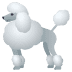 :poodle: :poodle: