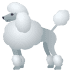 :poodle: